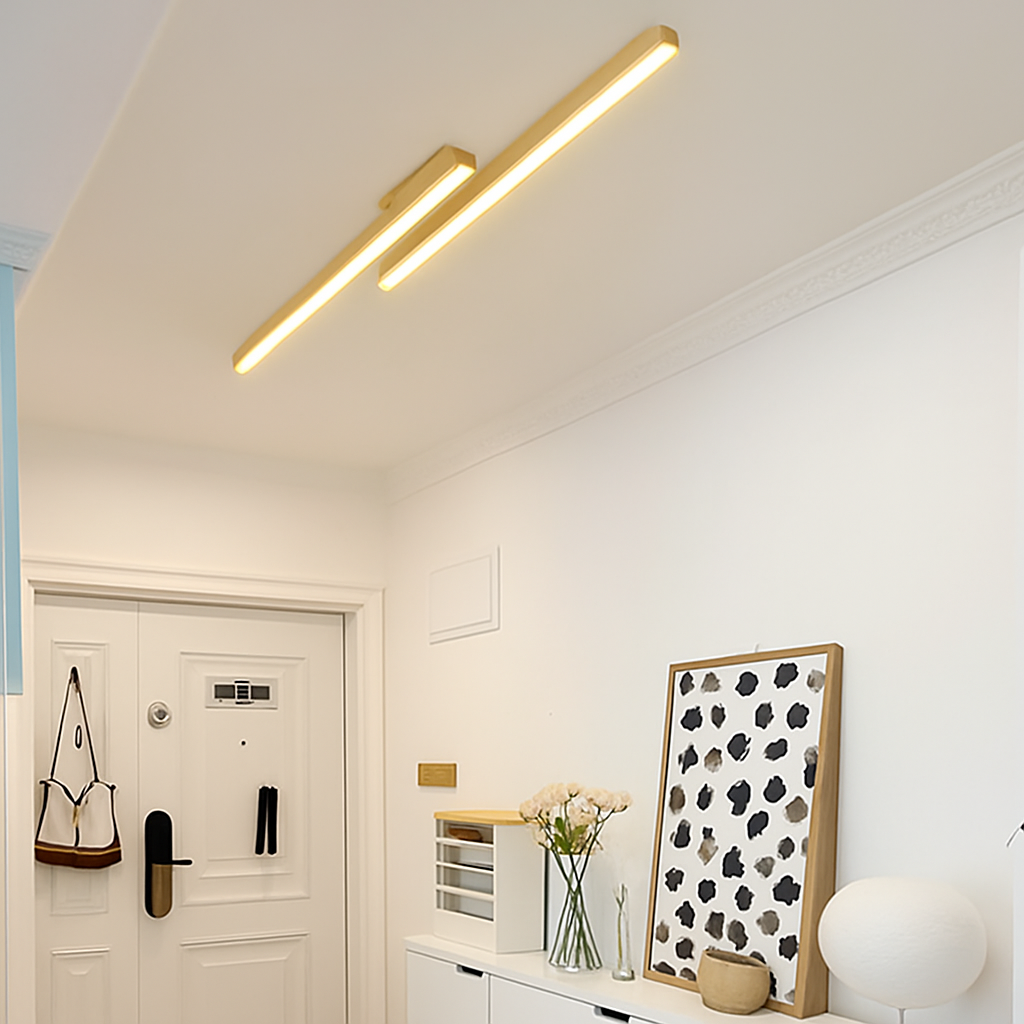 Plafonnier LED Design Moderne et Polyvalent