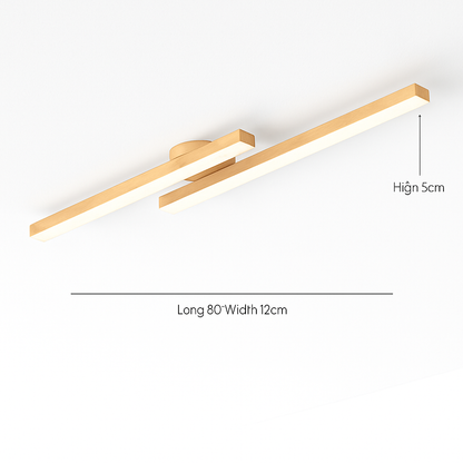 Plafonnier LED Design Moderne et Polyvalent