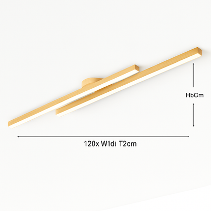 Plafonnier LED Design Moderne et Polyvalent