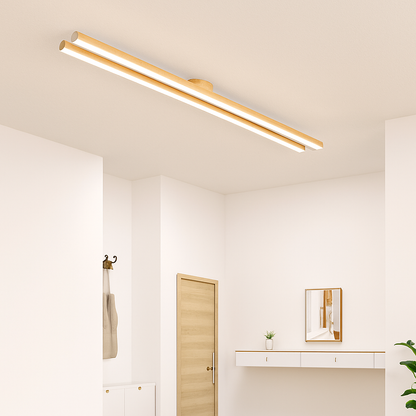 Plafonnier LED Design Moderne et Polyvalent
